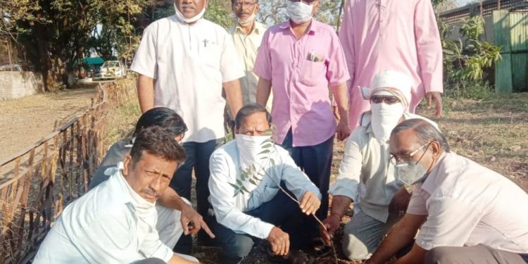 वृक्षांना पालक समजून त्यांचे संगोपन करा – प्राचार्य ए. आर. चौधरी