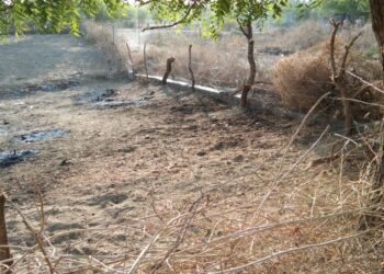 खुल्या भुखंडावरील अतिक्रमण विरोधात आमरण उपोषणाचा इशारा