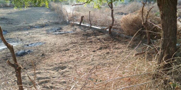 खुल्या भुखंडावरील अतिक्रमण विरोधात आमरण उपोषणाचा इशारा