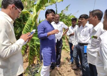 केळीला पिक विमा योजनेत समाविष्ठ करा – खा. उन्मेष पाटील यांची मागणी