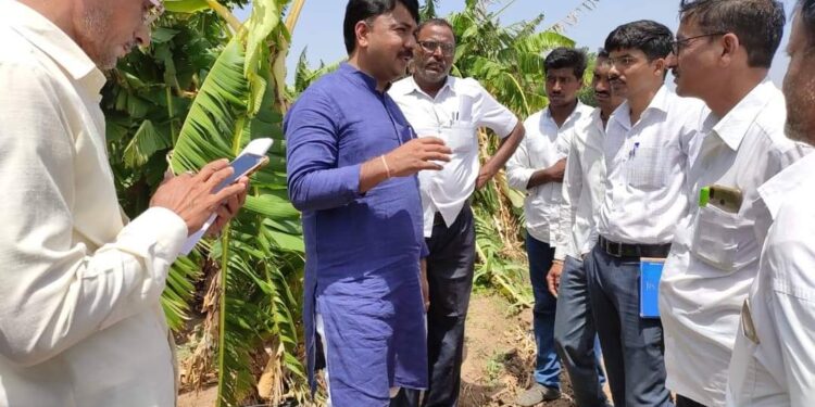 केळीला पिक विमा योजनेत समाविष्ठ करा – खा. उन्मेष पाटील यांची मागणी