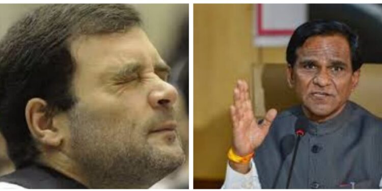 रावसाहेब दानवेंची राहुल गांधींवर जहरी टीका; म्हणाले, देवाला सोडलेला वळू….