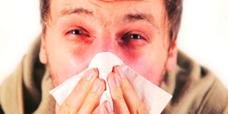 जळगावातील मुख्य रस्त्यांवरील खड्डे बुजविणे सुरू ; महापालिका प्रशासनाने यंत्रणा उतरविली रस्त्यावर !