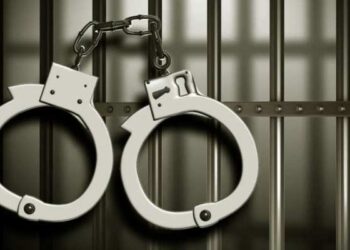 गांधली शिवारातुन चोरीला गेलेल्या शेळ्या सापडल्या मध्यप्रदेशात