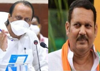 उदयनराजेंनी दिला अजित पवारांना खोचक सल्ला…