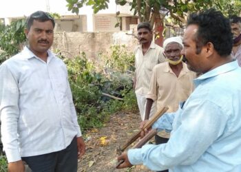 वृक्ष तोड करणाऱ्या दोषींवर कारवाईची मागणी..