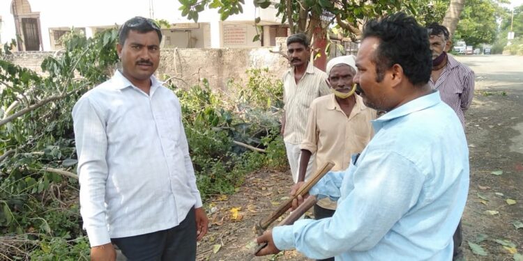 वृक्ष तोड करणाऱ्या दोषींवर कारवाईची मागणी..