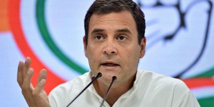 प्रियांका गांधींच्या हिंमतीला राहुल गांधींनी दिली दाद…