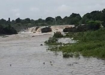 आर्या फाउंडेशनतर्फे चक्रीवादळामुळे नुकसान झालेल्या शेतकऱ्यांना मदत