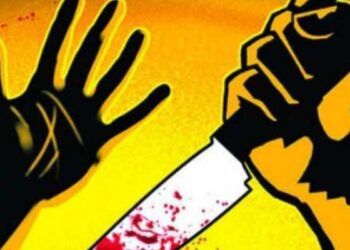 बाप झाला वैरी; बापाने मुलावर केला विळ्याने वार