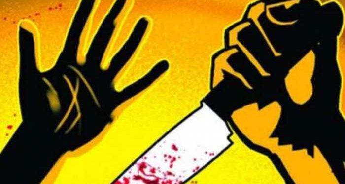 बाप झाला वैरी; बापाने मुलावर केला विळ्याने वार