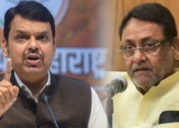 डुकराशी कुस्ती कधीच खेळू नये हे मी आधीच शिकलो; देवेंद्र फडणवीस यांचा मलिकांवर घणाघाती हल्ला