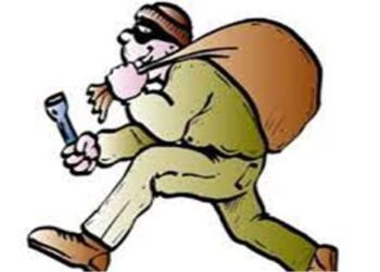 दिवाळी सणाच्या काळात चोरट्यांचा धुमाकूळ; दागिन्यांसह रोकड लंपास…