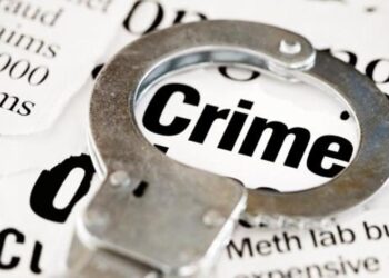 पत्नीला जीवे मारल्याप्रकरणी पती दोषी, जन्मठेपेची शिक्षा..