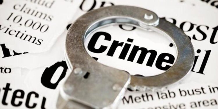 पत्नीला जीवे मारल्याप्रकरणी पती दोषी, जन्मठेपेची शिक्षा..