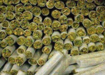 गांजा तस्करी प्रकरणात पैठण, जळगावच्या संशयितांना १४ दिवसांची काेठडी…