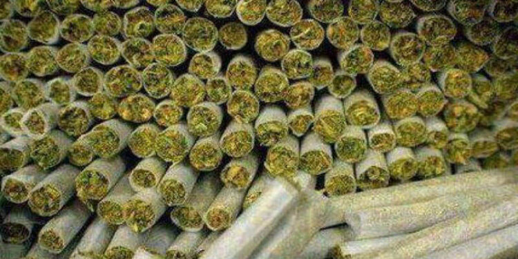 गांजा तस्करी प्रकरणात पैठण, जळगावच्या संशयितांना १४ दिवसांची काेठडी…