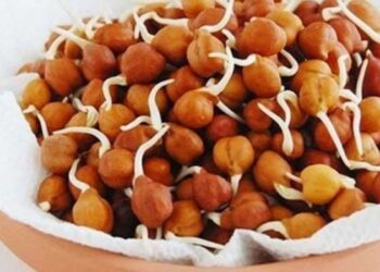 निरोगी जीवन जगायचे असेल तर आपल्या आहारामध्ये भिजवलेल्या काळ्या चण्याचा समावेश करा….