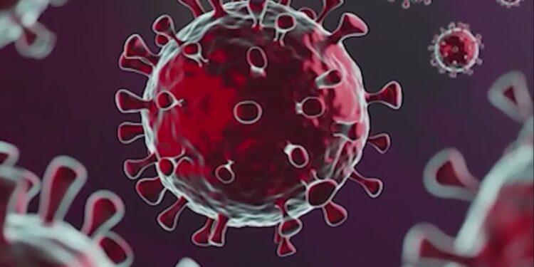 ओमिक्रॉनचा पहिला रुग्ण अखेर घरी….