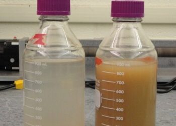 जळगाव करांना अजून किती दिवस दूषित पाणीपुरवठा सहन करावा लागेल ?