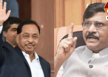 नारायण राणे शरद पवारांवर असे काय म्हणाले कि शिवसेना पेटली ; संजय राऊत यांचे पंतप्रधान मोदींना आवाहन