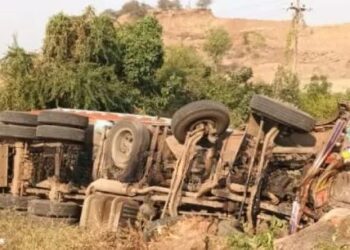 भरधाव ट्रक झाडाला आदळला, चालकासह क्लिनर ठार