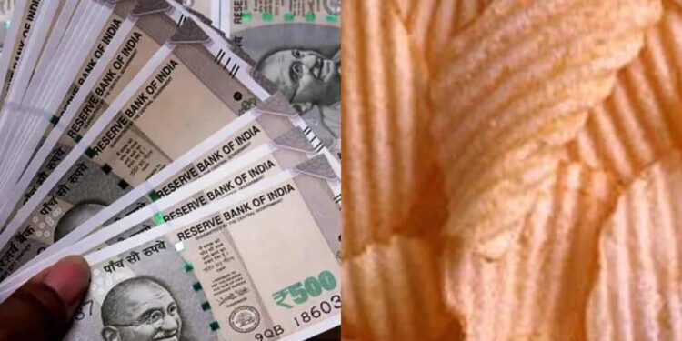 अगदी कमी खर्चात सुरु करा हा व्यवसाय, बाजारात मोठी मागणी