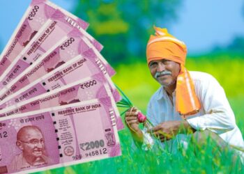 शेतकऱ्यांसाठी गुडन्यूज! प्रति हेक्टरी 15 हजारांचा बोनस देण्याची मुख्यमंत्री शिंदेंची घोषणा