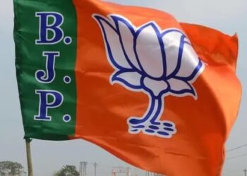 गुजरातमध्‍ये भाजपचा ऐतिहासिक विजय, जाणून घ्या भाजपच्या यशाची प्रमुख कारणे