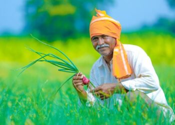 शेतकऱ्यांना मोठा दिलासा! अतिवृष्टीमुळे नुकसान झालेल्यांना दुप्पट मदत मिळणार