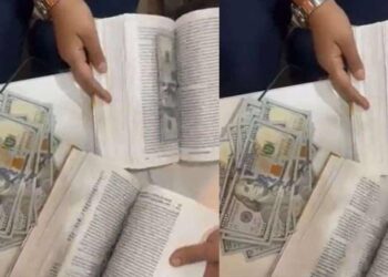 प्रवाशाच्या बॅगमध्ये सापडले भलतेच पुस्तक, उघडून पाहताच पोलिसही चक्रावले