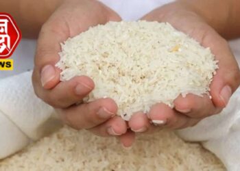 जळगावातील रेशनचा तांदूळ धुळ्यात जप्त; पोलिस ठाण्यात गुन्हा दाखल