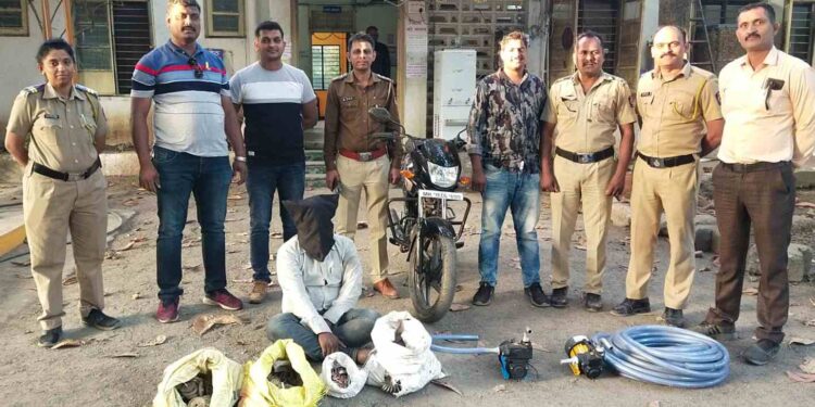 जळगावातील दुकान फोडणाऱ्या आरोपीस अटक; जिल्हापेठ पोलीसांची कारवाई