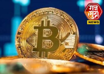 तुम्ही सोनंच बघत राहिलात, अन् लोकांनी इथून कमावला प्रचंड पैसा