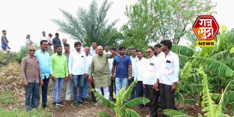 जिल्ह्यात अवकाळी पावसामुळे शेतकऱ्यांची उडाली दाणादाण: पालकमंत्र्यांनी बांधावर जाऊन नुकसानग्रस्तांना दिला धीर