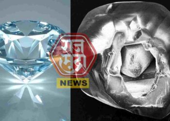 आश्चर्यकारक! सुरतमध्ये सापडला जिवंत हिरा, ह्रदयाप्रमाणे सुरुयं धडधड