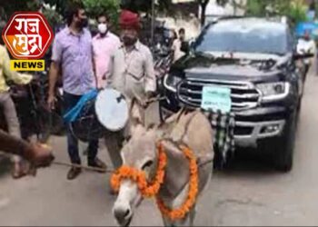 अजबगजब! गाढवाने शोरूममध्ये ओढून नेली 18 लाखांची कार, मदत न मिळाल्याने मालकानं केला निषेध