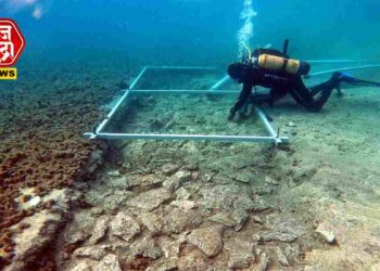 समुद्रात सापडला 7000 वर्षांपूर्वी बांधलेला रस्ता; पाषाण युगातील कलाकृती पाहून शास्त्रज्ञही झाले थक्क