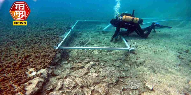 समुद्रात सापडला 7000 वर्षांपूर्वी बांधलेला रस्ता; पाषाण युगातील कलाकृती पाहून शास्त्रज्ञही झाले थक्क