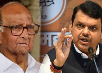 शरद पवारांकडून प्रशिक्षण घ्यावं लागेल; भाजप कार्यकर्त्यांना देवेंद्र फडणवीस असं का म्हणाले..