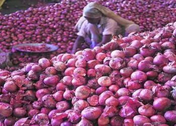 केंद्र सरकारचा कांदा, बासमती उत्पादकांना दिलासा