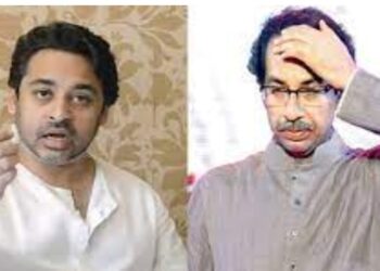 “बाळासाहेब ठाकरेंचं नाव जोडलं नसतं तर उद्धव ठाकरे नकाशावर सुद्धा नसते..” : निलेश राणेंचा घणाघात