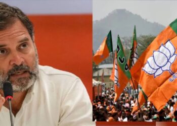 भाजप राहुल गांधीविरोधात ॲक्शन मोडवर : निवडणूक आयोगाकडे केली तक्रार!