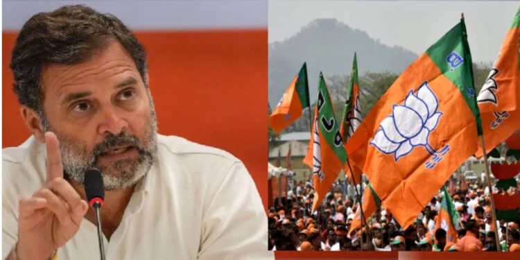 भाजप राहुल गांधीविरोधात ॲक्शन मोडवर : निवडणूक आयोगाकडे केली तक्रार!