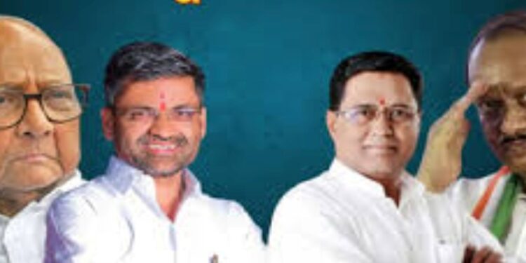 पारनेर मतदारसंघात अजितदादांचा विजयी शिलेदार खासदार लंकेना भिडतोय?