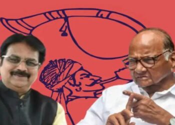 इंदापूरचं समीकरण बदलणार ; हर्षवर्धन पाटलांसाठी खुद्द शरद पवार मैदानात?