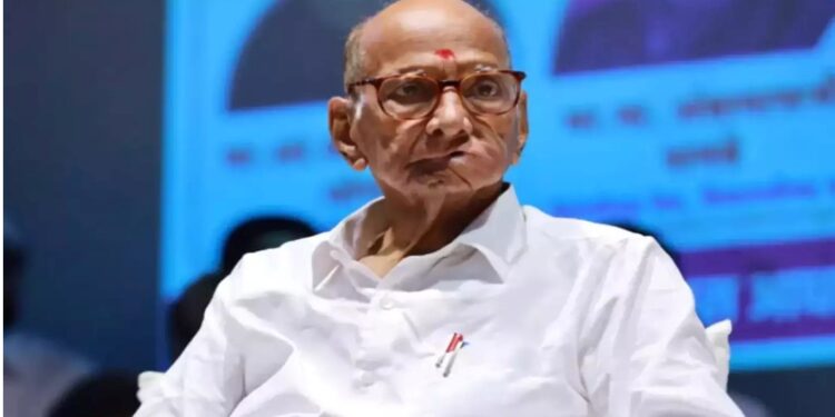 शरद पवार ॲक्शन मोडवर : पक्ष संघटनेत मोठे बदल होणार?