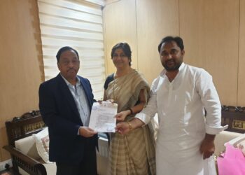अमळनेर औद्योगिक विस्तारीकरणासाठी निधी द्या : केंद्रीय मंत्री राणेंना ललिता पाटलांची मागणी