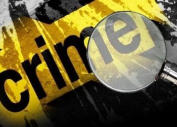 डोक्यात खाटेचा माचा मारून मुलाने केला वडिलांचा खून….
