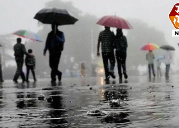 मॉन्सून अपडेट ; राज्यात अनेक भागात मुसळधार पाऊस ; शाळा कॉलेज रखडले.